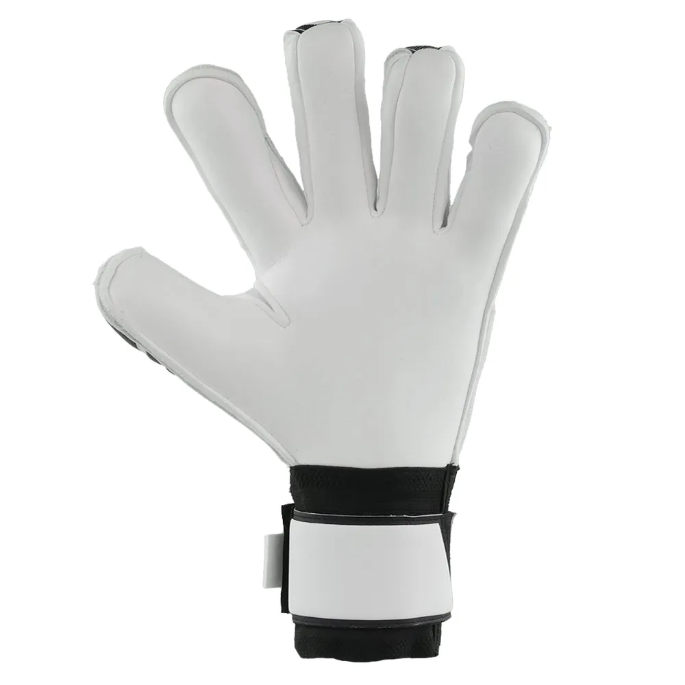 Beta 2.0 Elite White